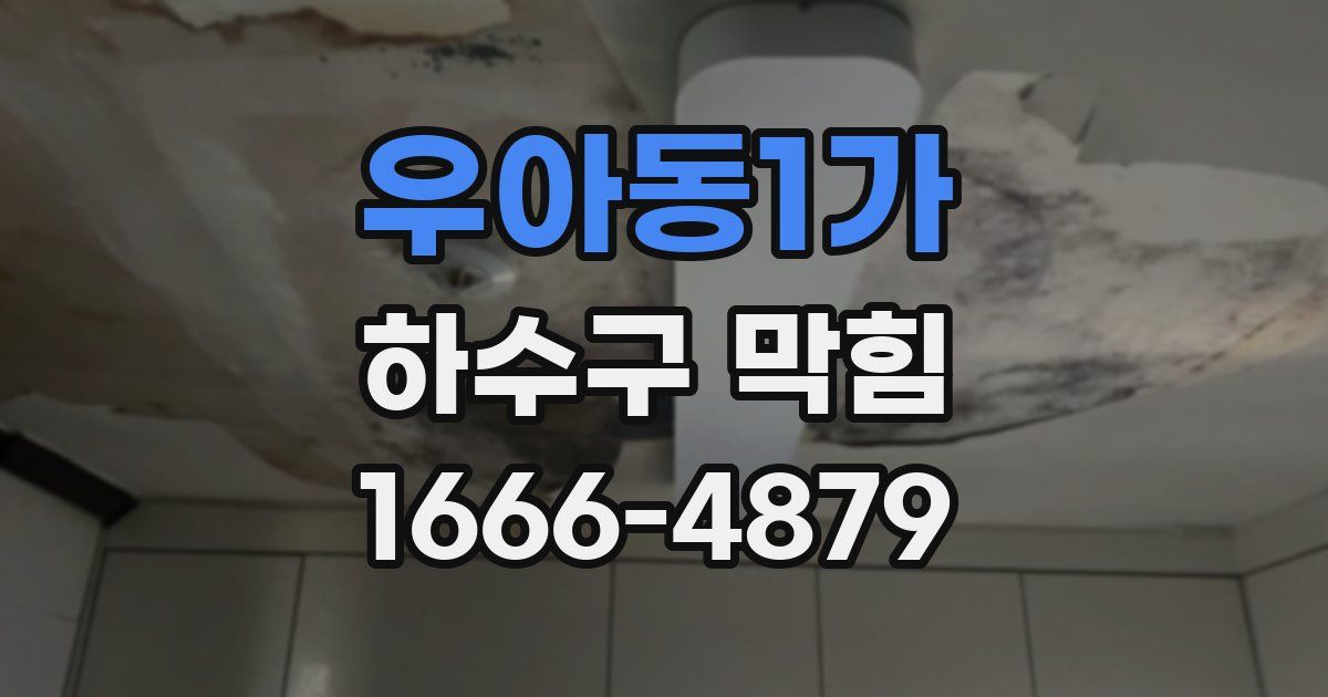 우아동1가 하수구 막힘