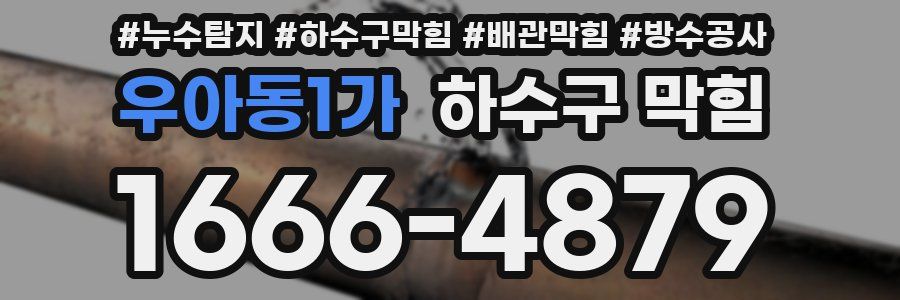 우아동1가 하수구 막힘
