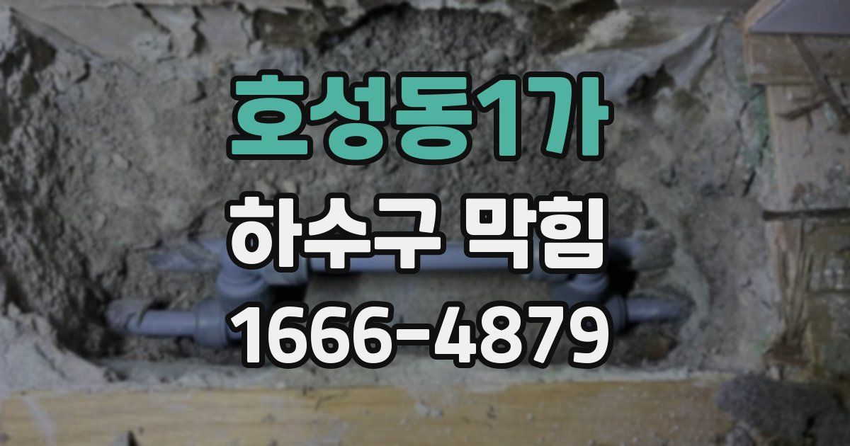 호성동1가 하수구 막힘