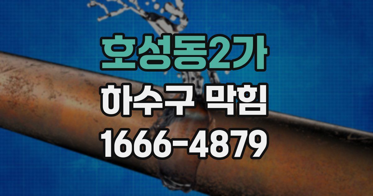 호성동2가 하수구 막힘