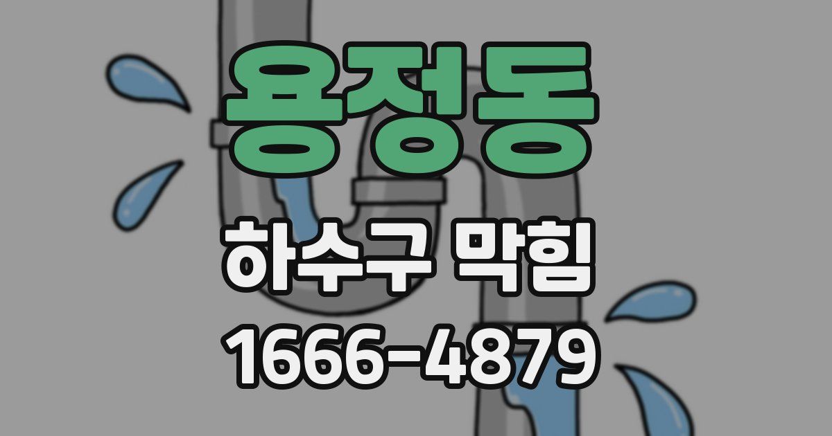 용정동 하수구 막힘