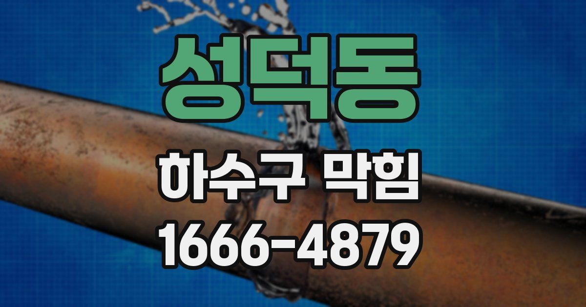 성덕동 하수구 막힘