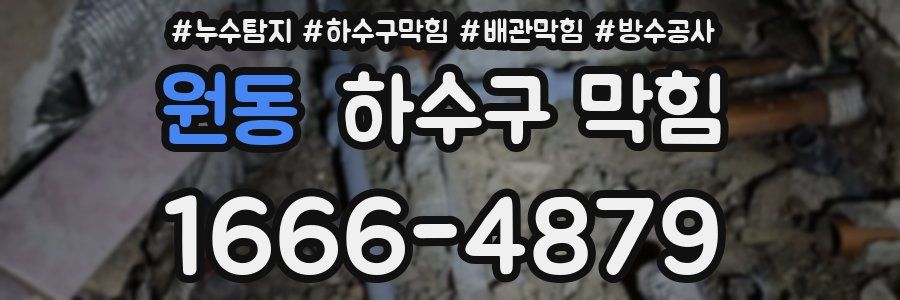 원동 하수구 막힘