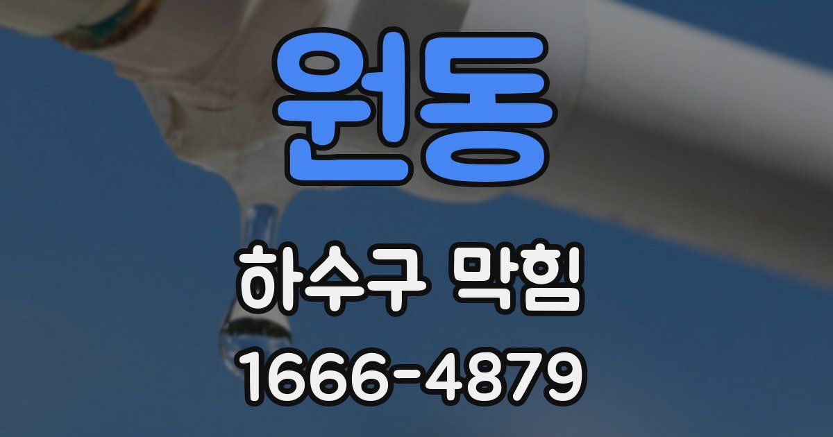 원동 하수구 막힘