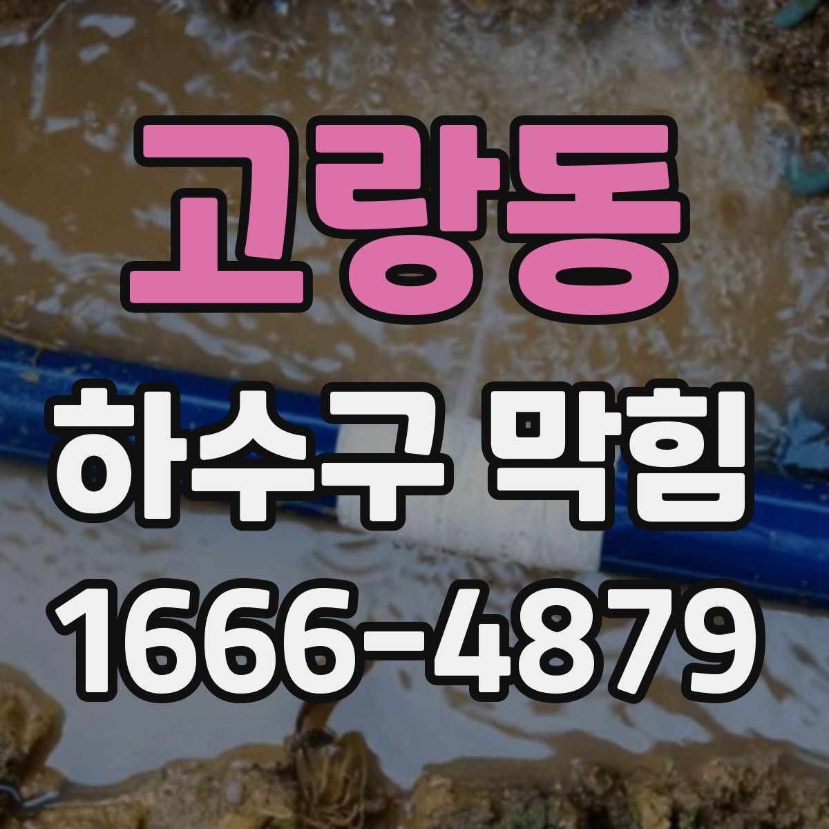 고랑동 하수구 막힘