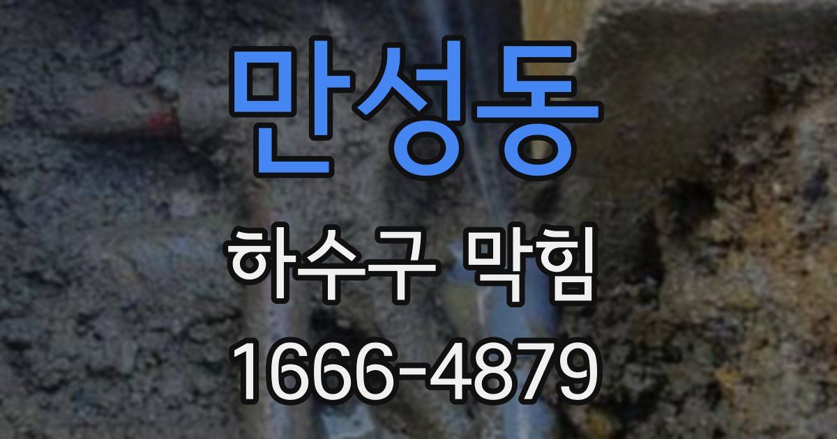 만성동 하수구 막힘