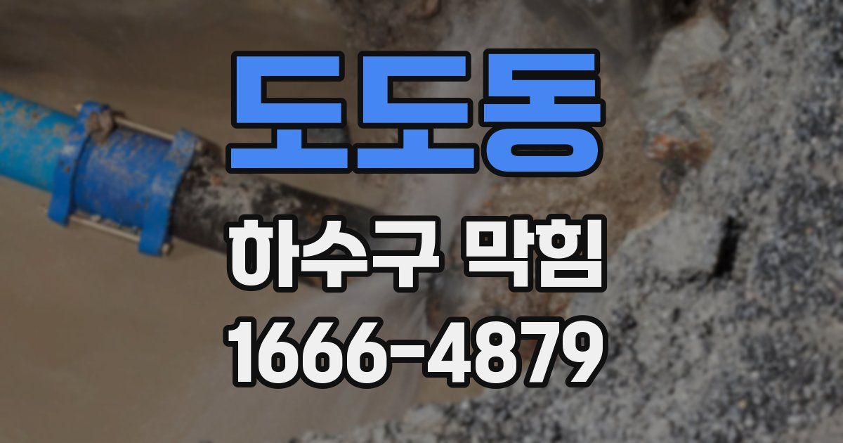 도도동 하수구 막힘