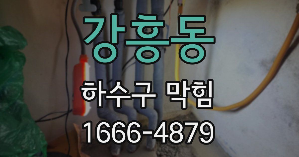 강흥동 하수구 막힘