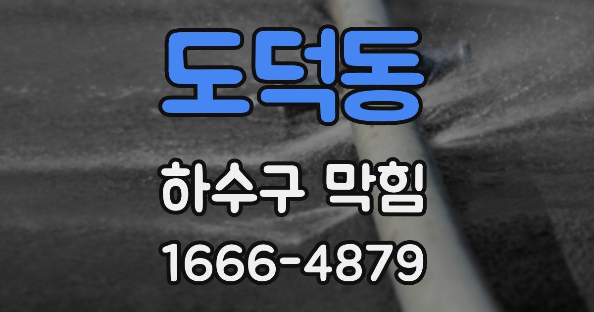 도덕동 하수구 막힘
