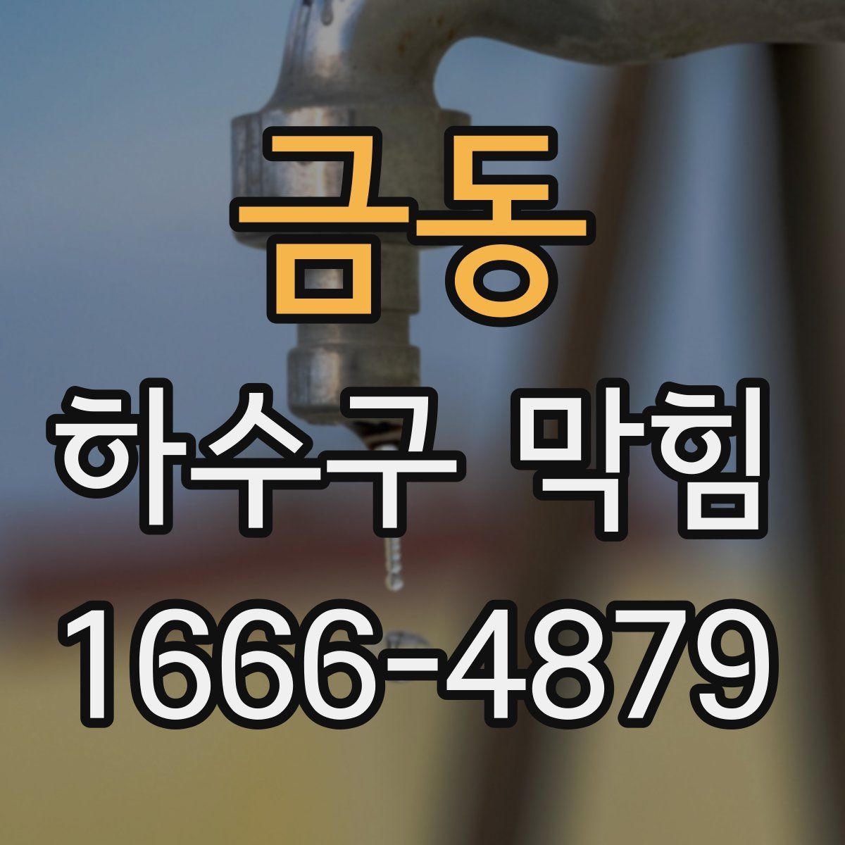 금동 하수구 막힘