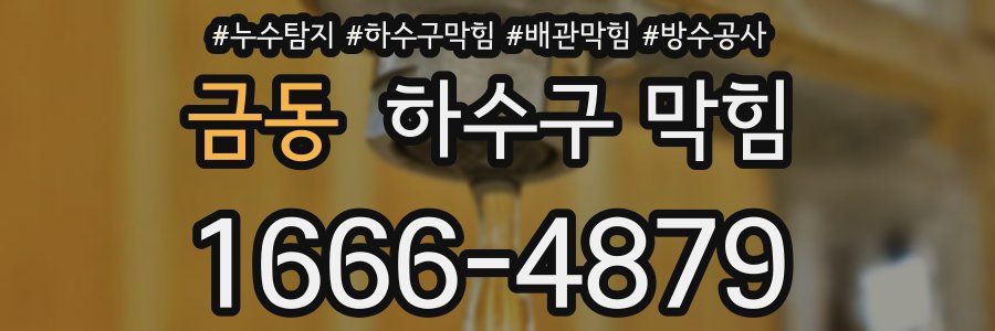 금동 하수구 막힘