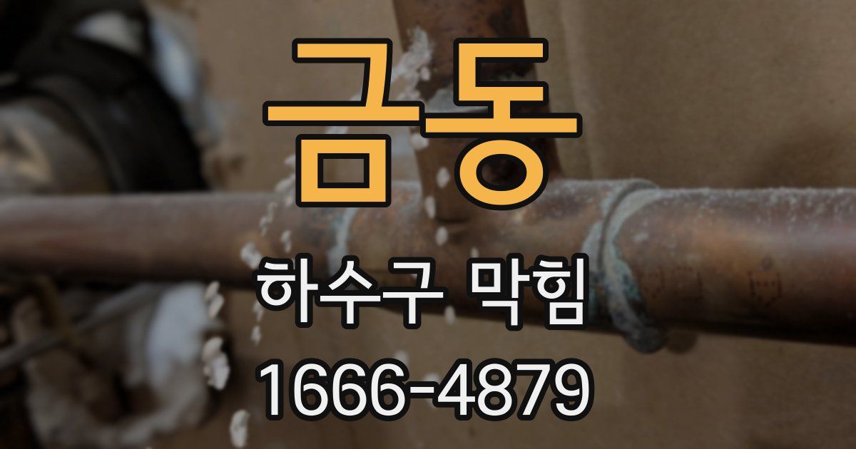 금동 하수구 막힘