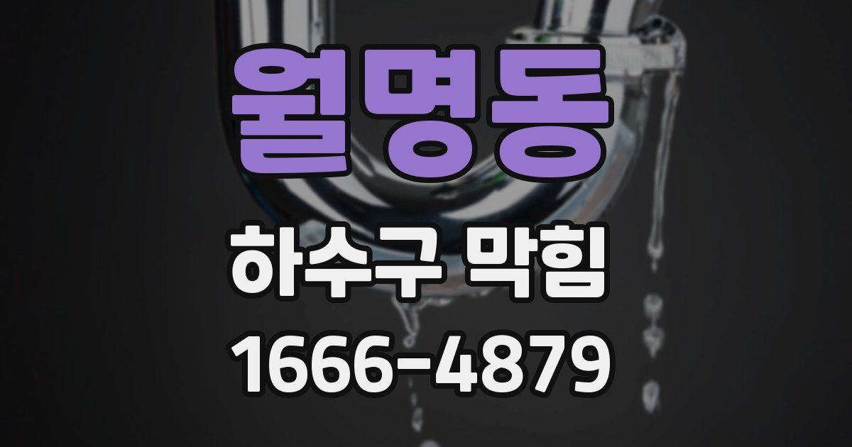 월명동 하수구 막힘