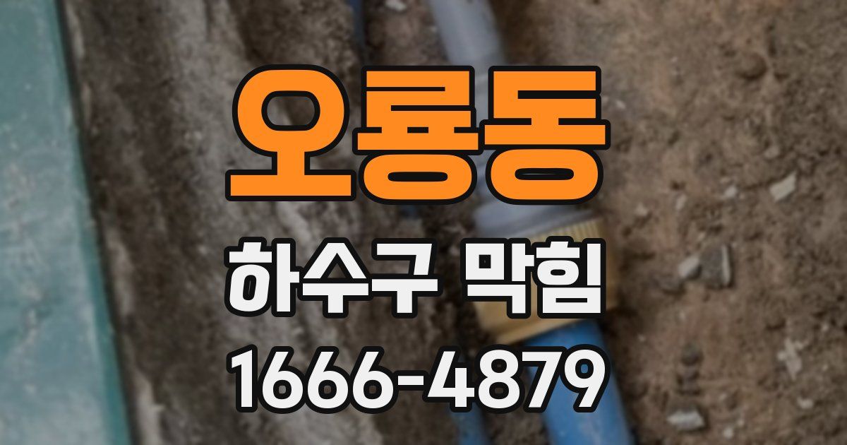 오룡동 하수구 막힘