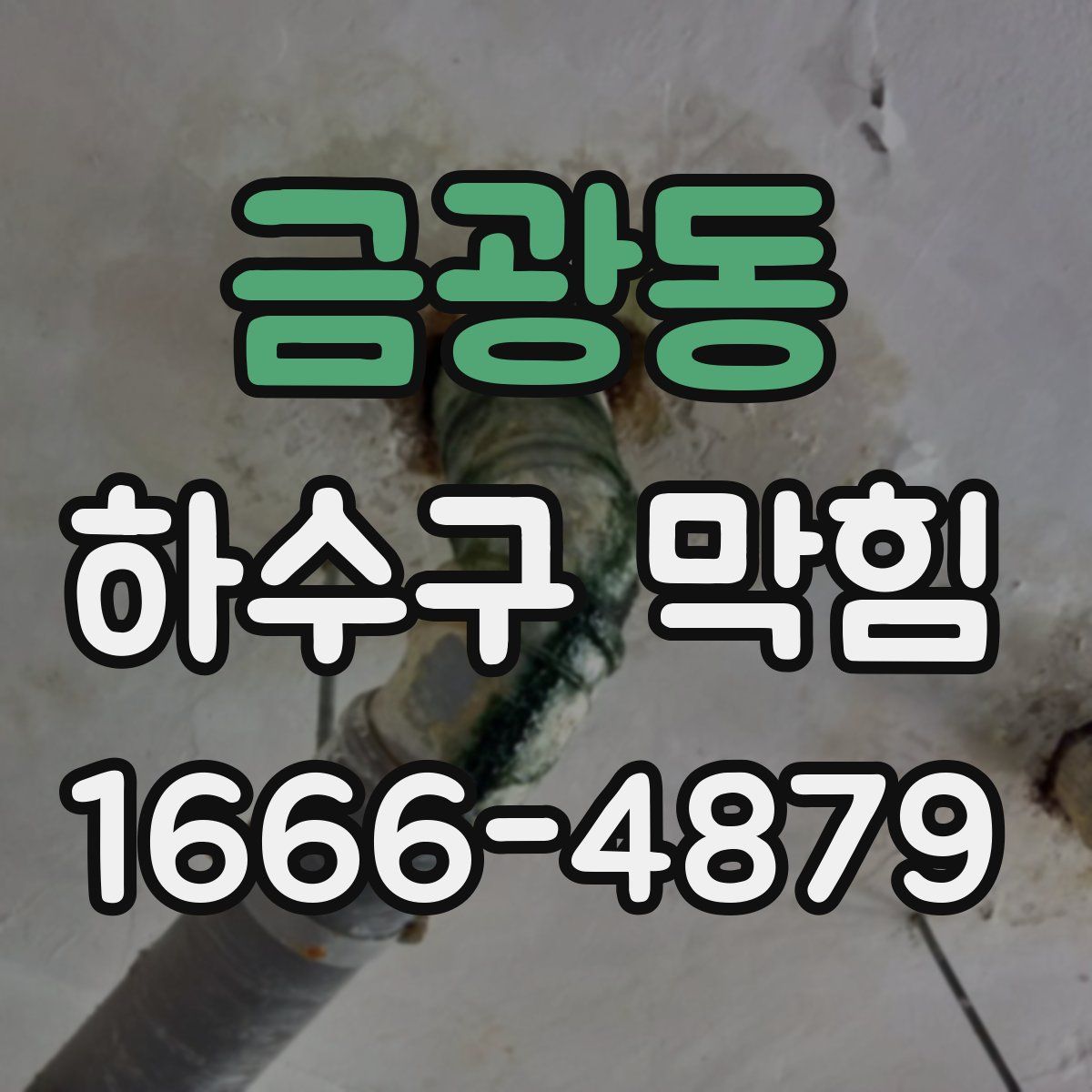 금광동 하수구 막힘