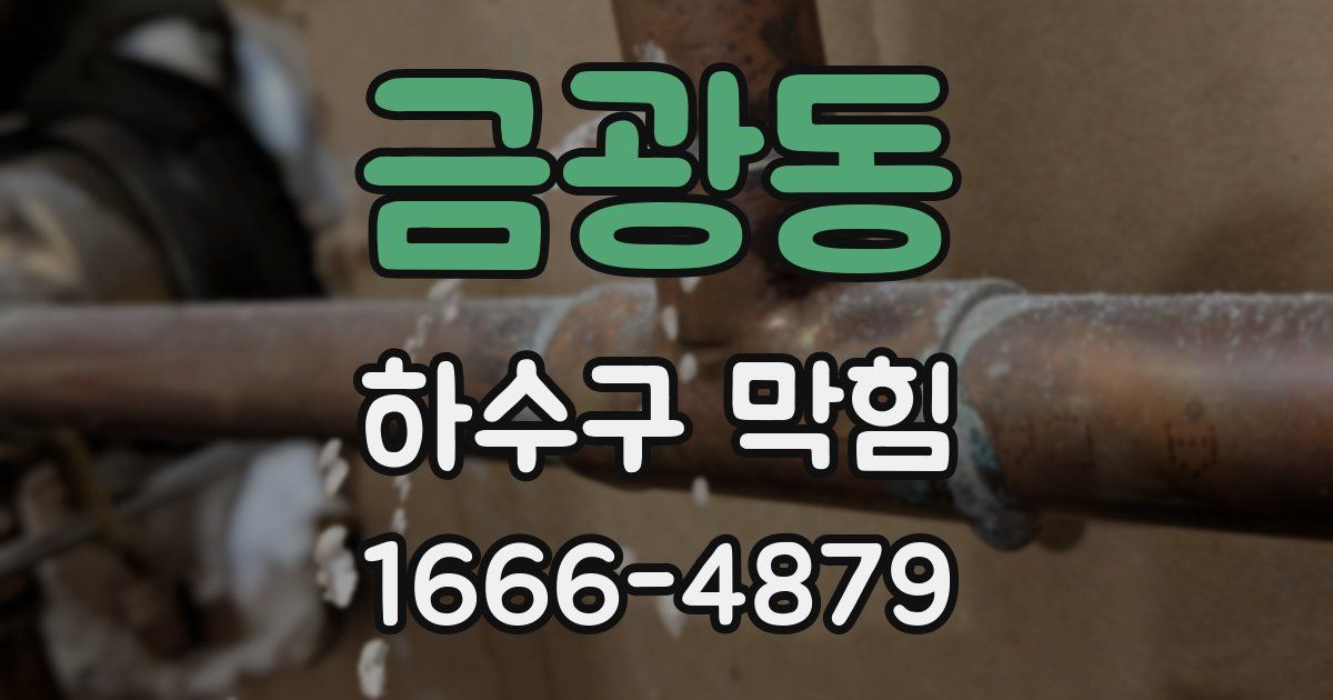 금광동 하수구 막힘