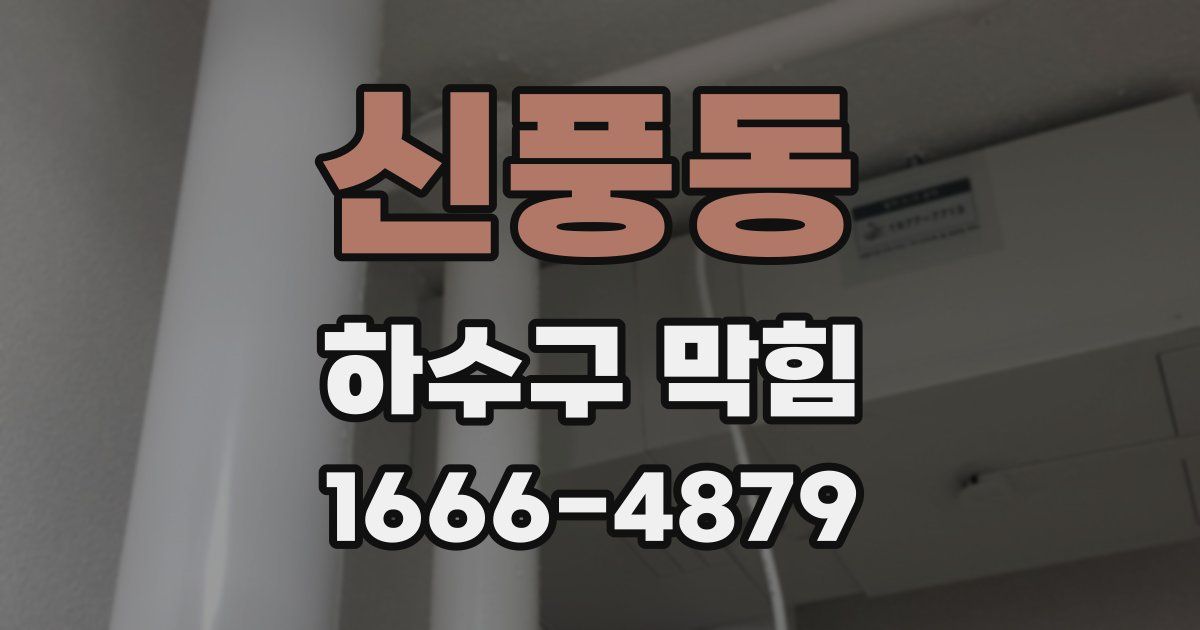 신풍동 하수구 막힘