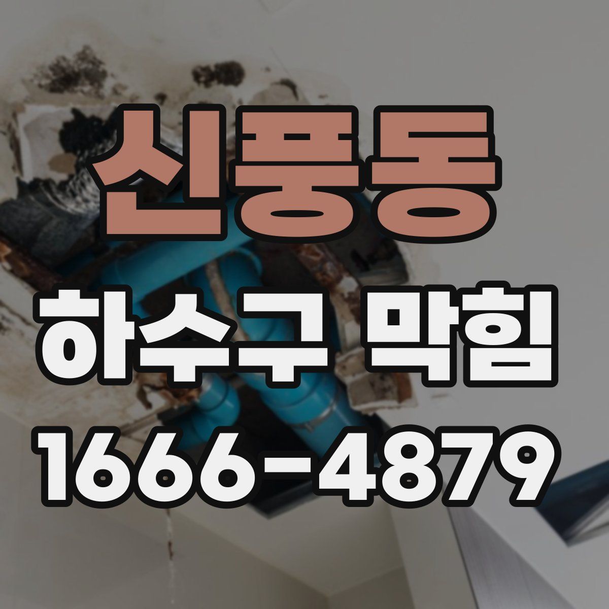 신풍동 하수구 막힘
