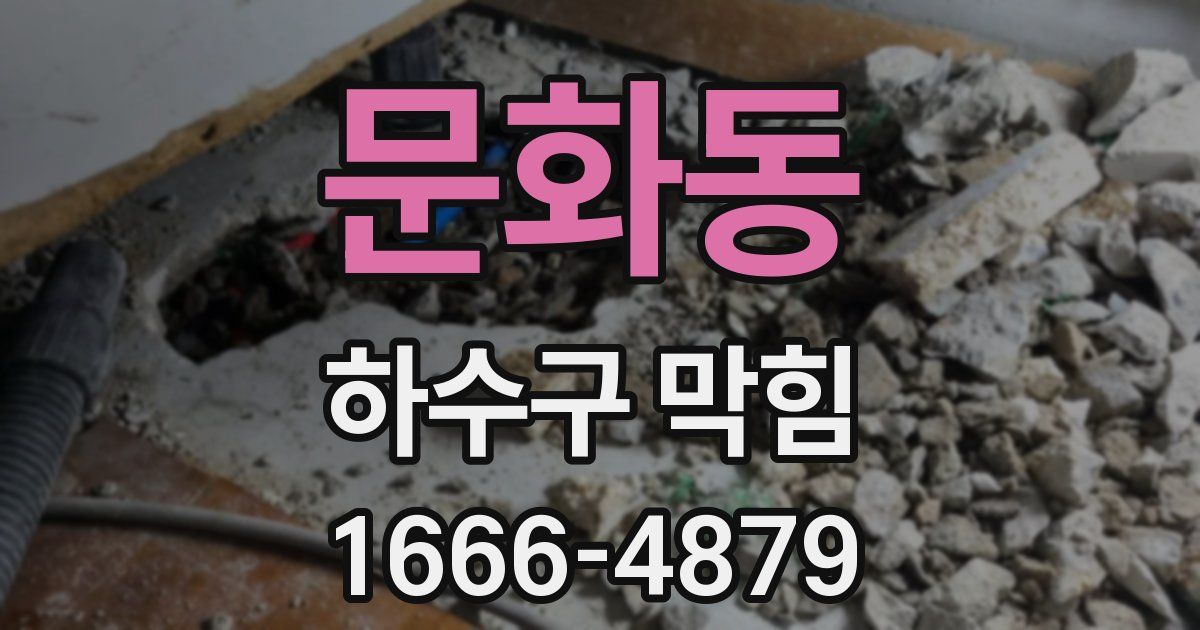 문화동 하수구 막힘