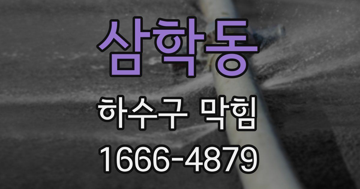 삼학동 하수구 막힘