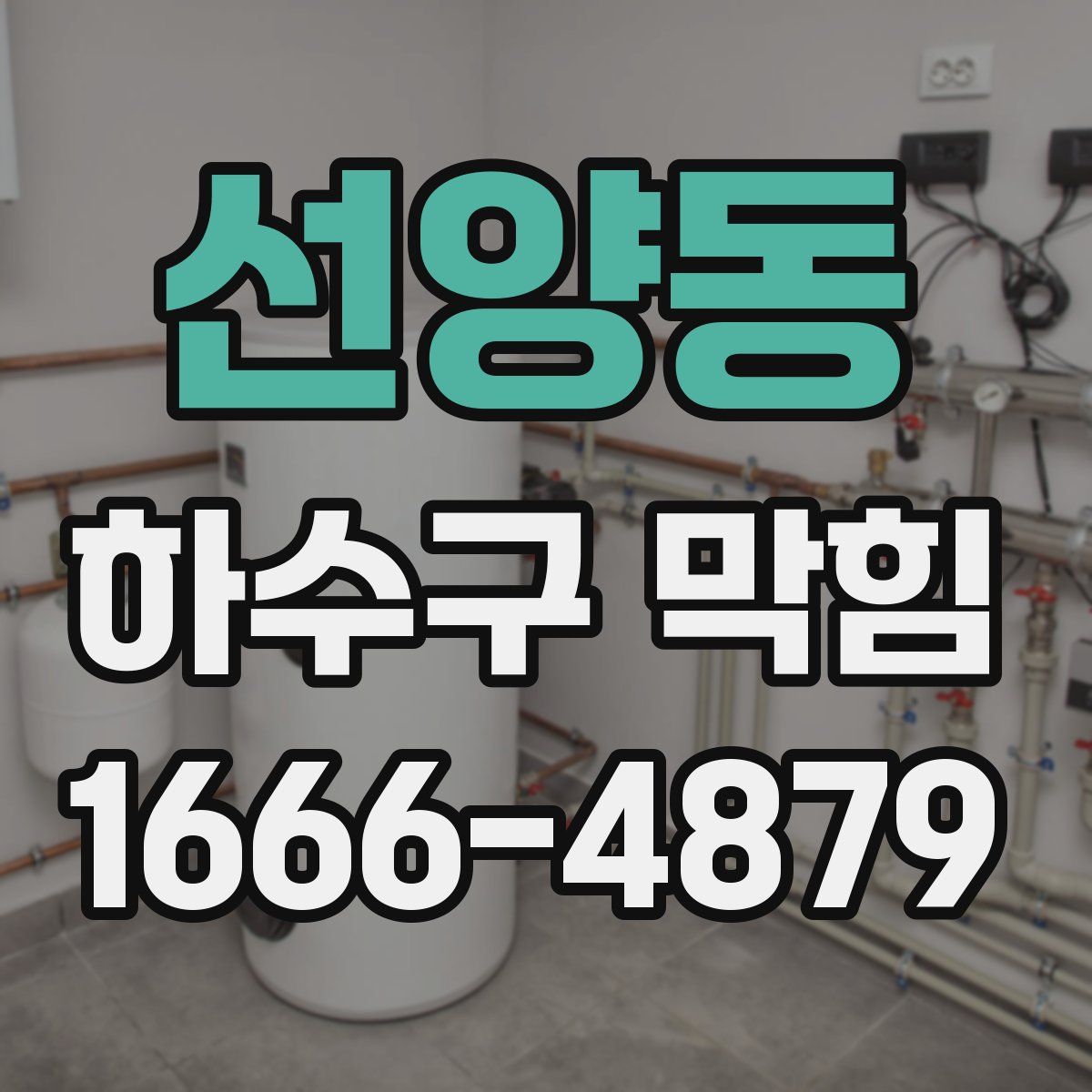 선양동 하수구 막힘
