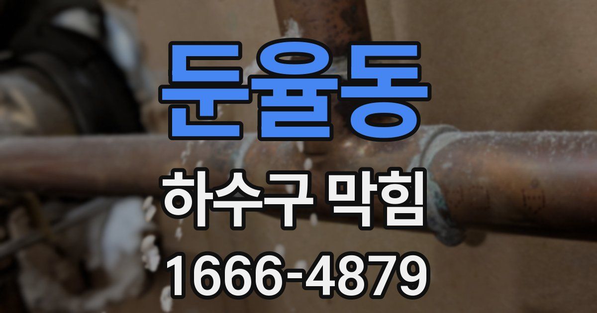 둔율동 하수구 막힘