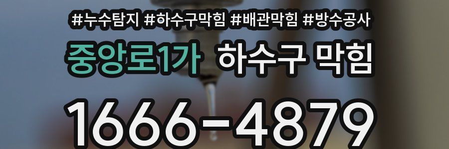 중앙로1가 하수구 막힘
