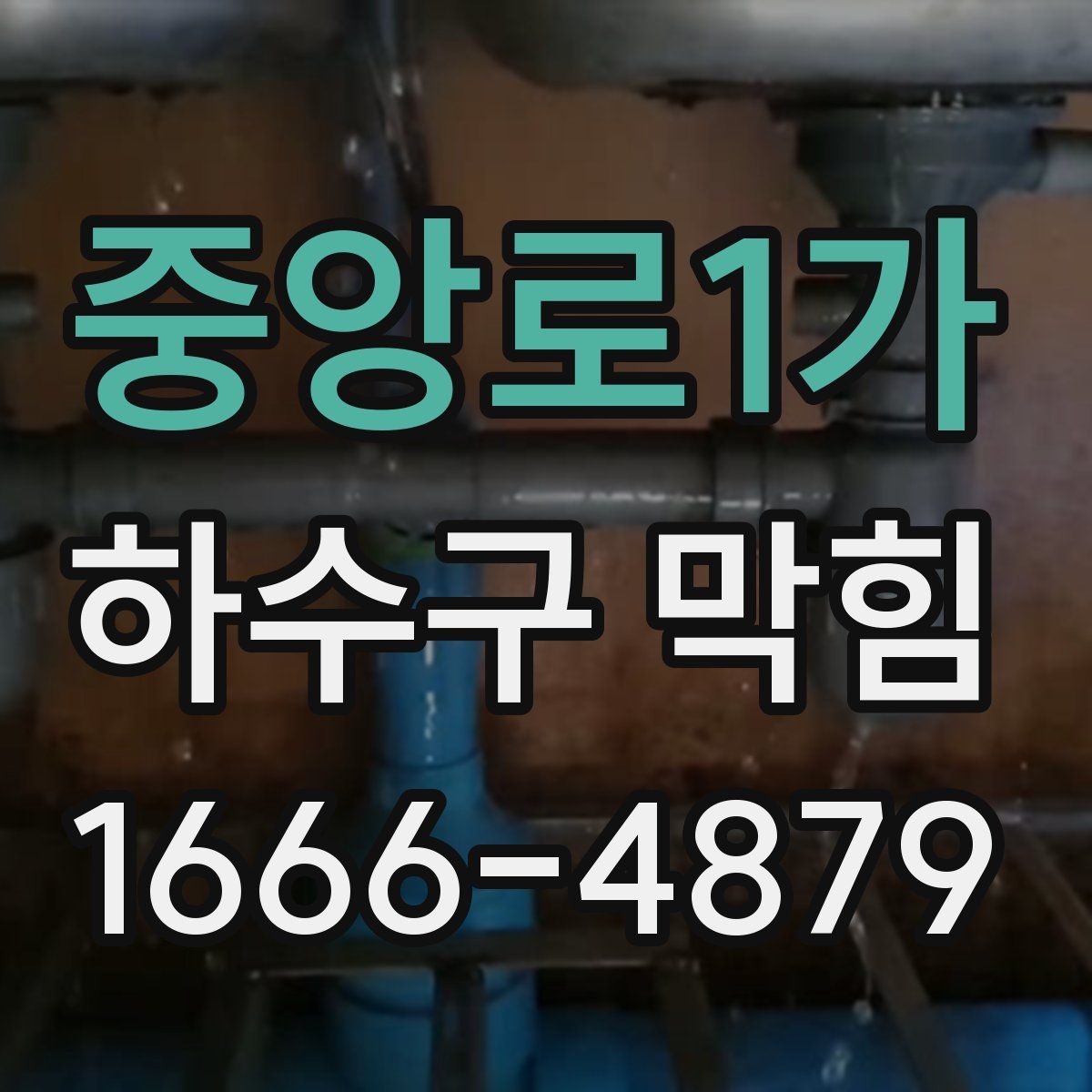 중앙로1가 하수구 막힘