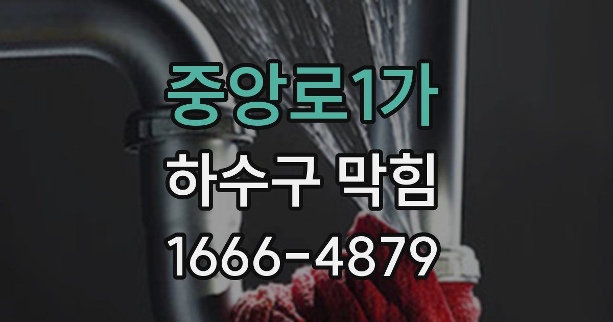 중앙로1가 하수구 막힘