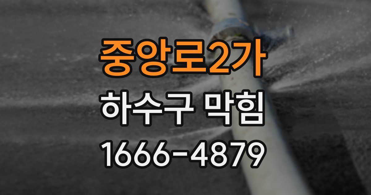 중앙로2가 하수구 막힘