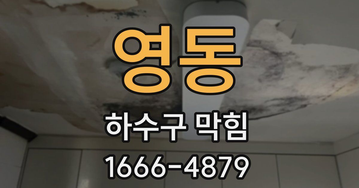 영동 하수구 막힘