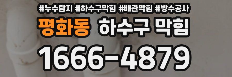 평화동 하수구 막힘