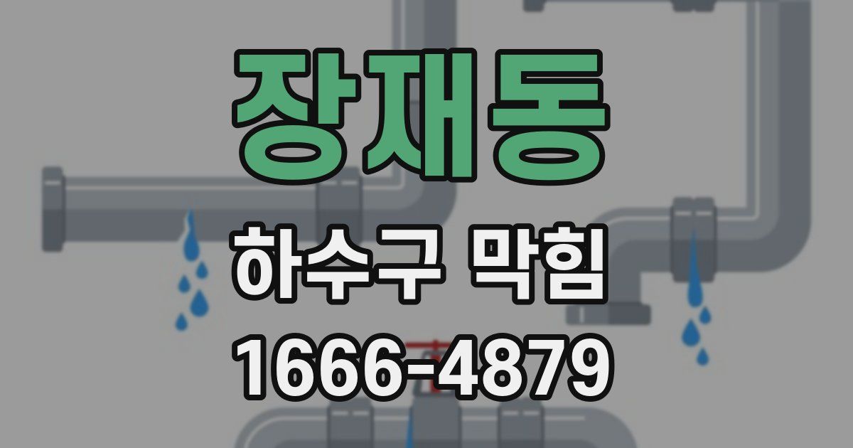 장재동 하수구 막힘