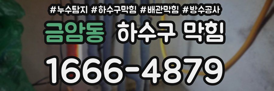 금암동 하수구 막힘