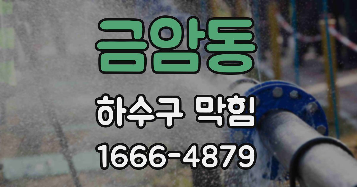 금암동 하수구 막힘