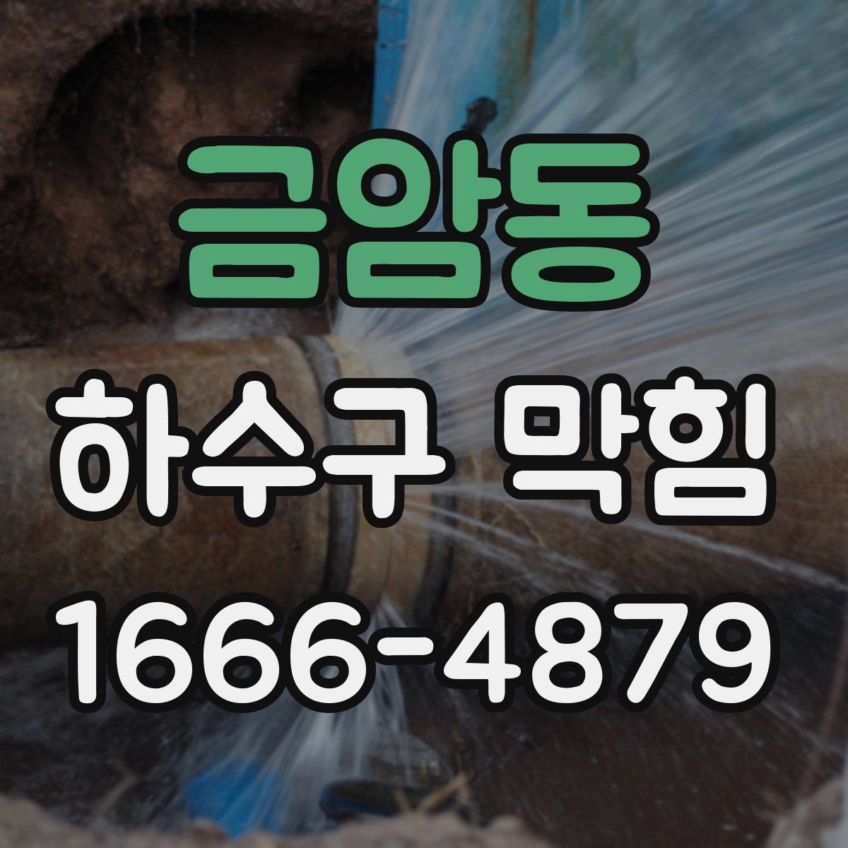 금암동 하수구 막힘