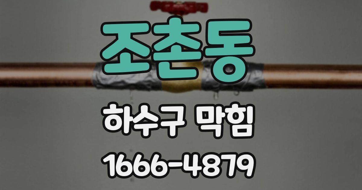 조촌동 하수구 막힘