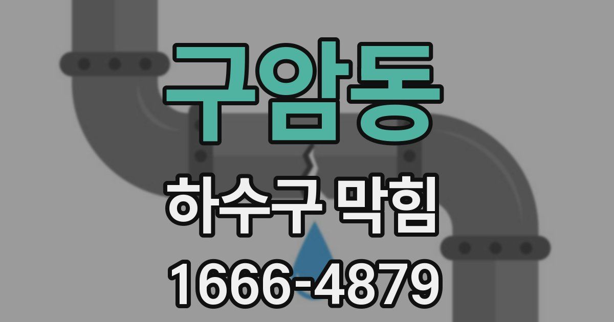 구암동 하수구 막힘