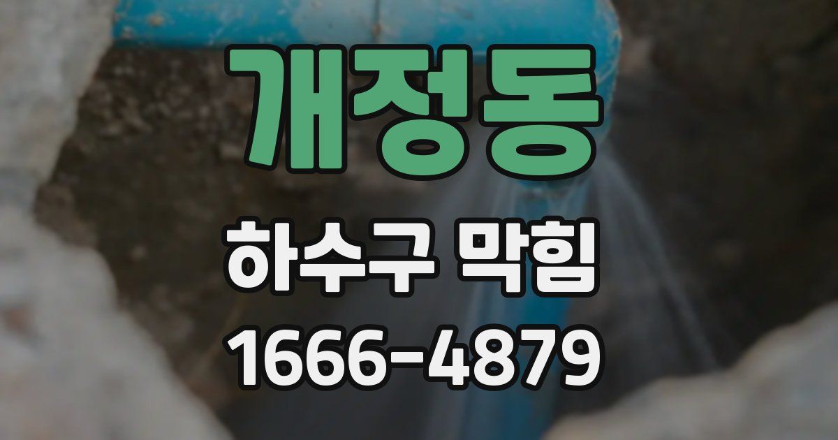 개정동 하수구 막힘