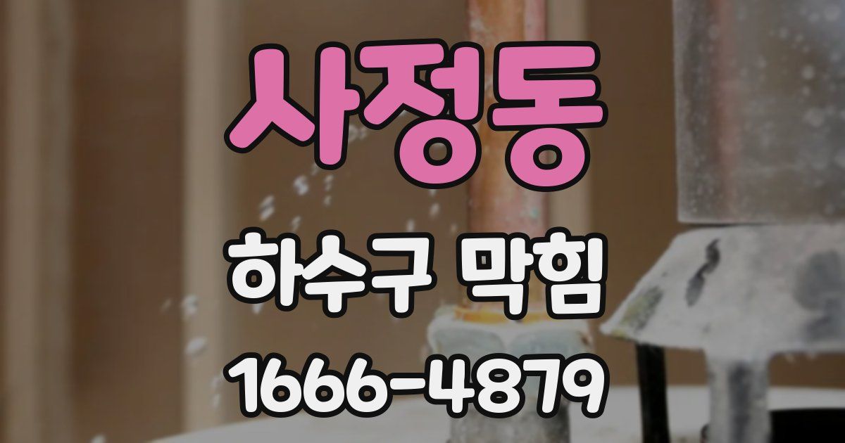 사정동 하수구 막힘