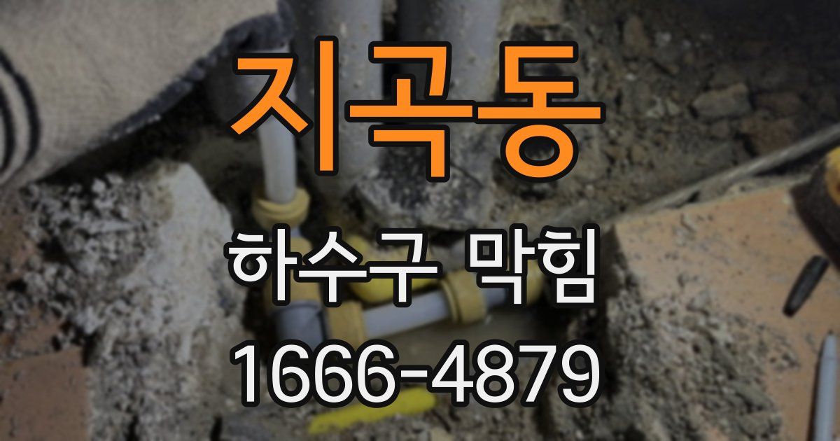 지곡동 하수구 막힘