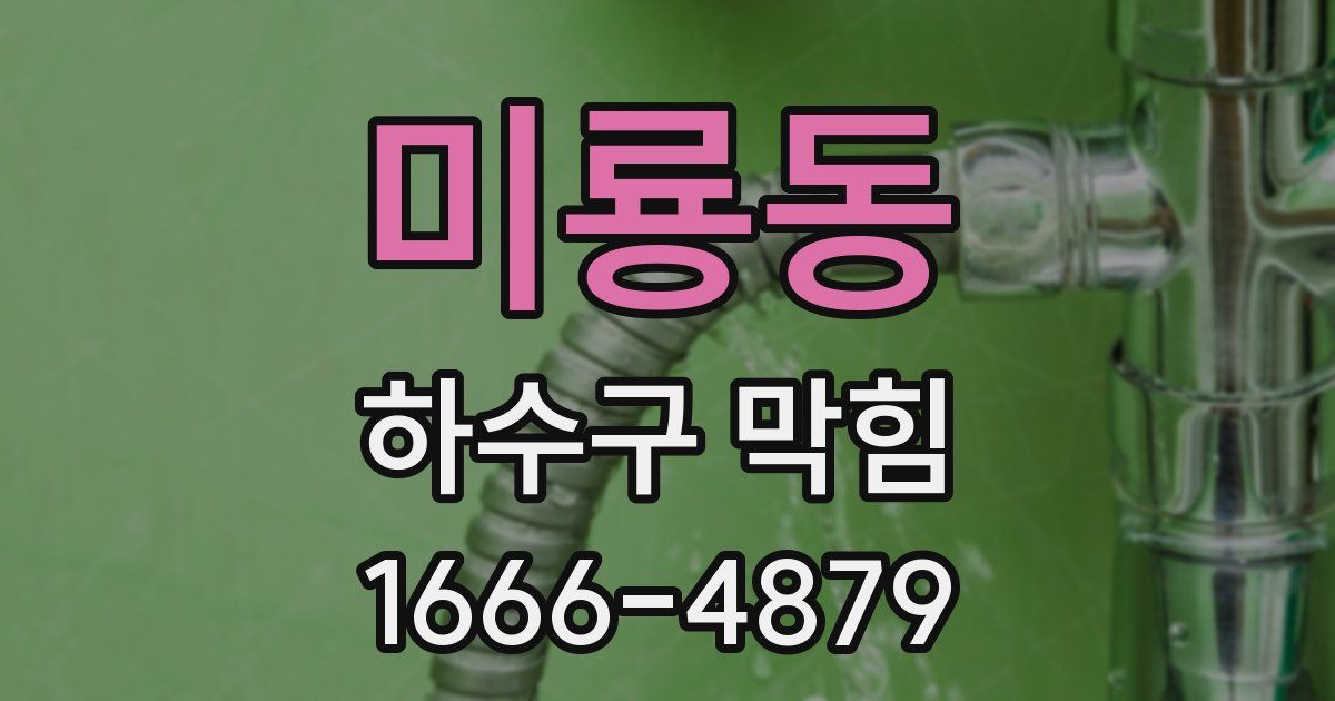 미룡동 하수구 막힘