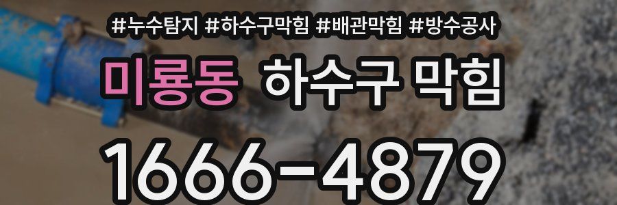 미룡동 하수구 막힘