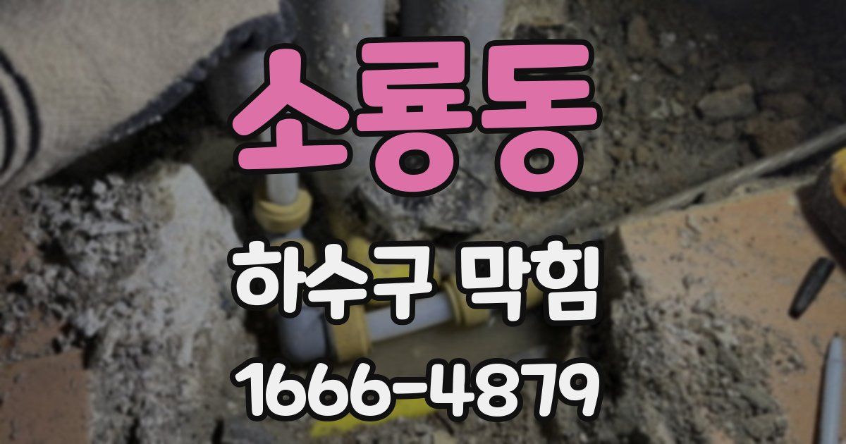 소룡동 하수구 막힘