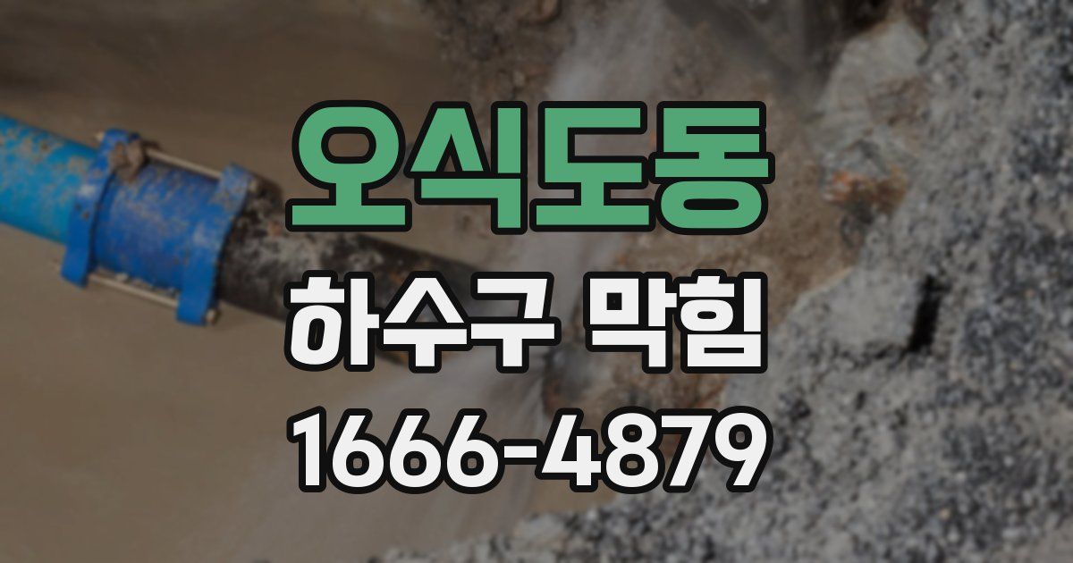 오식도동 하수구 막힘