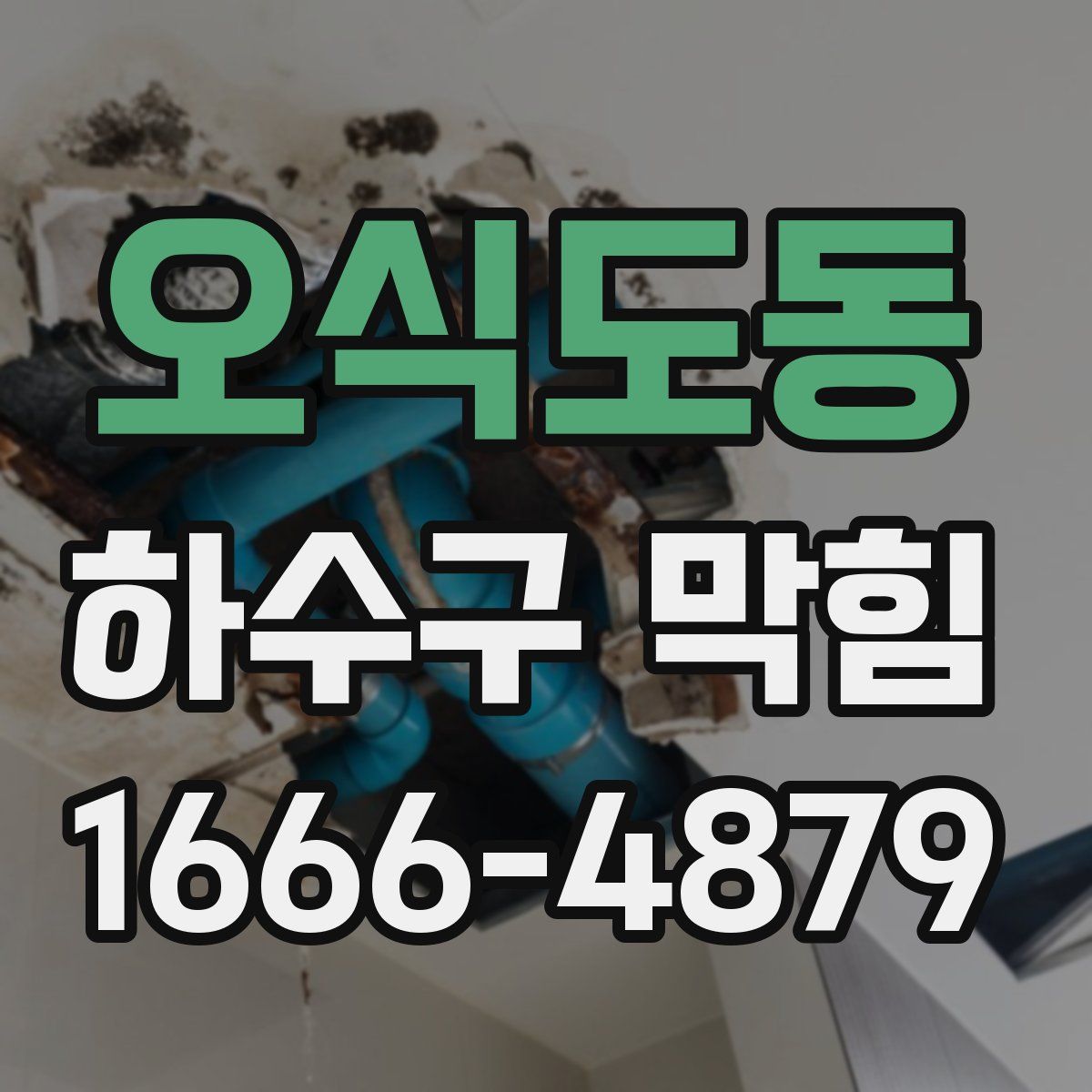 오식도동 하수구 막힘