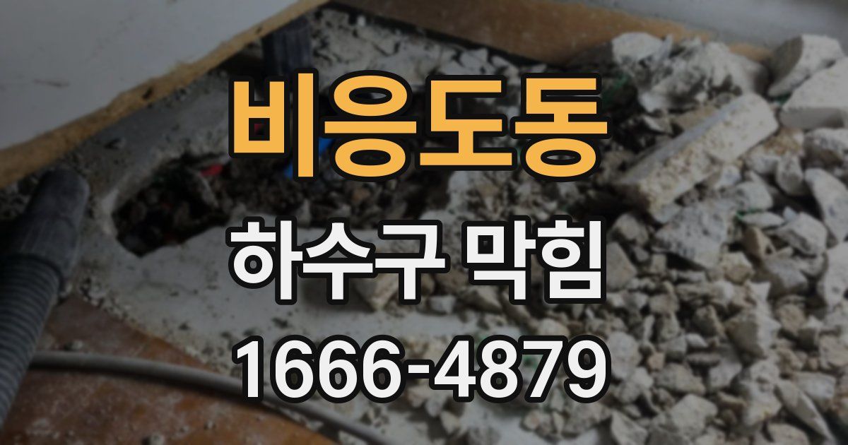 비응도동 하수구 막힘