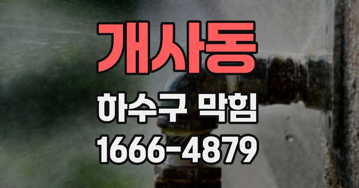 개사동 하수구 막힘