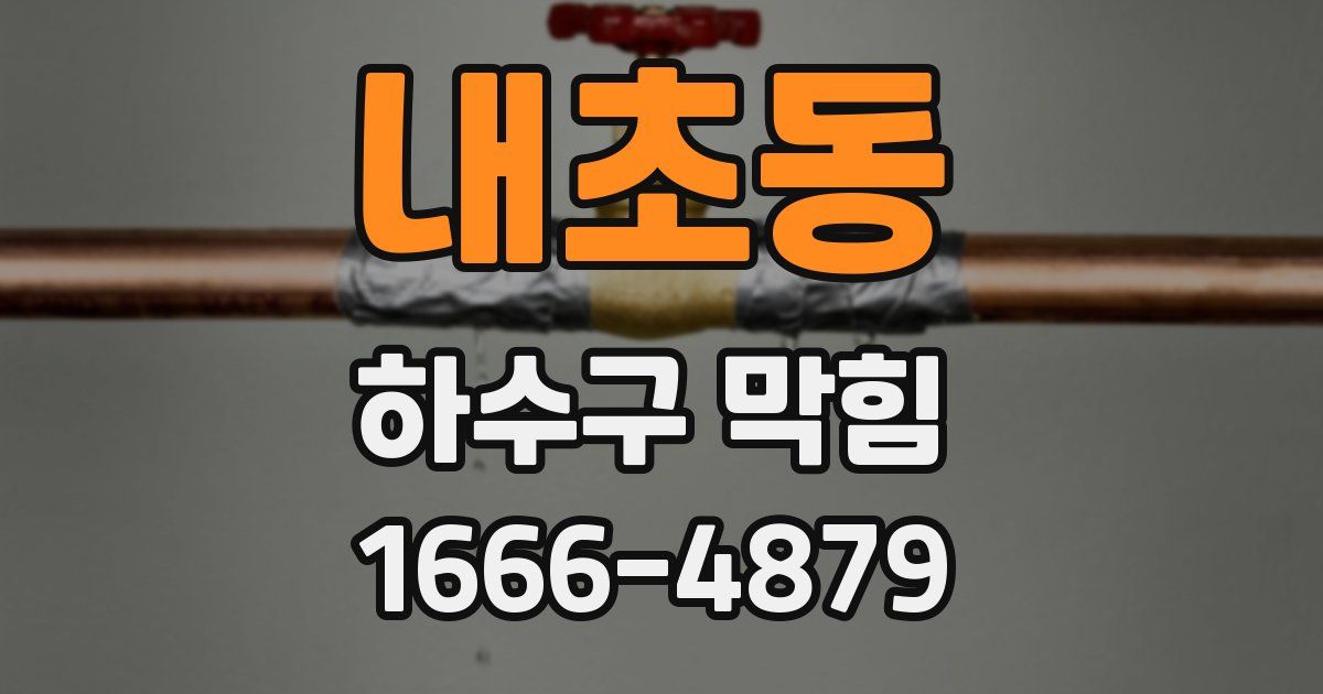 내초동 하수구 막힘