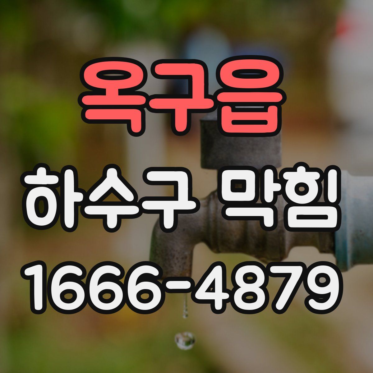 옥구읍 하수구 막힘
